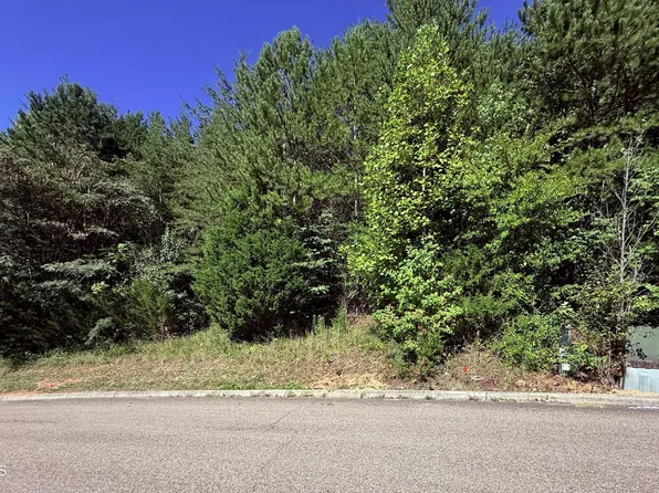 1033 Crown Ridge Ln, Powell, TN 37849