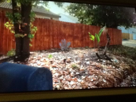 2nd image of 8686 Oak Ave