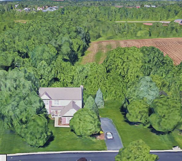 Google Satellite view