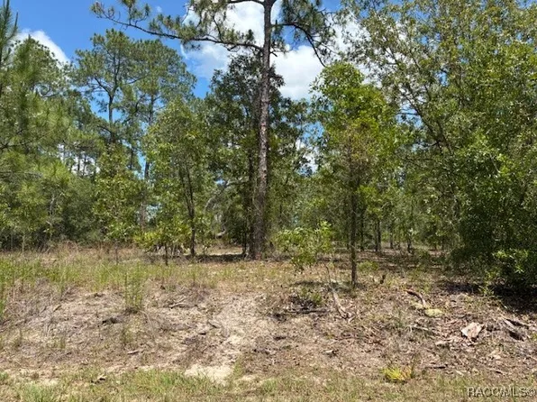 Southview Ct, Dunnellon, FL 34431