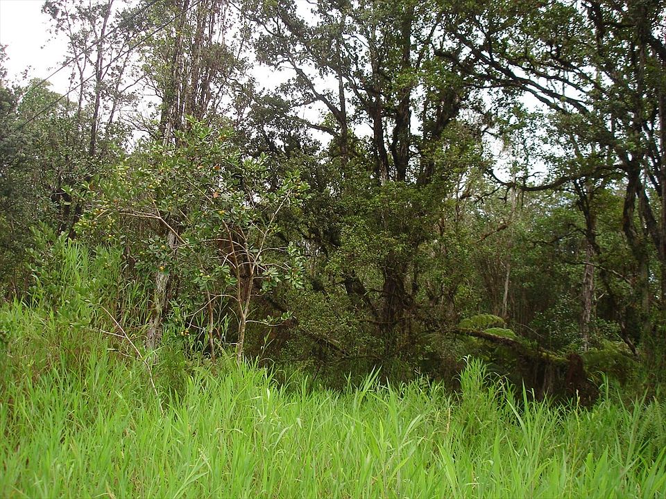 2nd image of Road 6