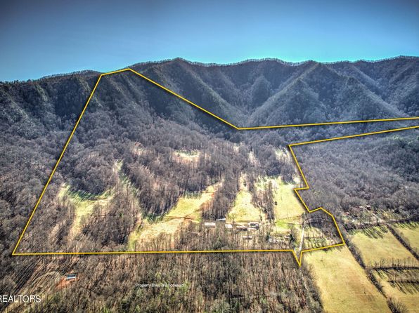 172 Pam Ln, Townsend, TN 37882