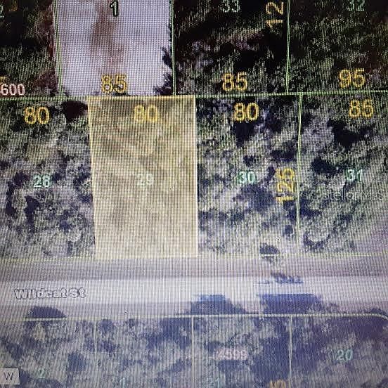 1st image of 10145 Wildcat St