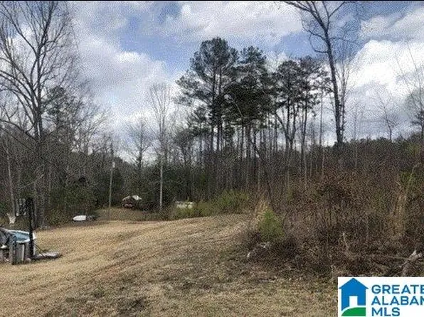25 Hunter Trl #1, Pell City, AL 35128