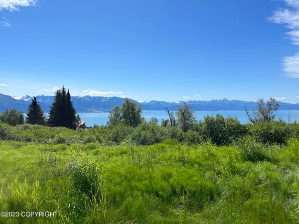 53147 Brauchli Ave, Homer, AK 99603