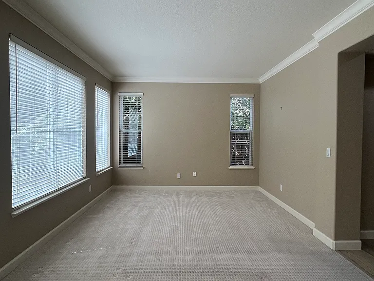 4247 Christopher Michael Ct — Photo 19