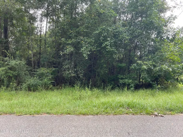 0 Treasure Poin Lot 83, Carriere, MS 39426