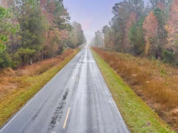 0 Saint Mark Bowman Rd, Saint George, SC 29477