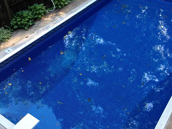 4th image of 271 McCollum Dr