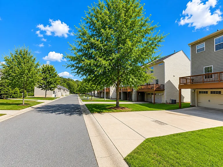 4052 Zilker Park Dr — Photo 6