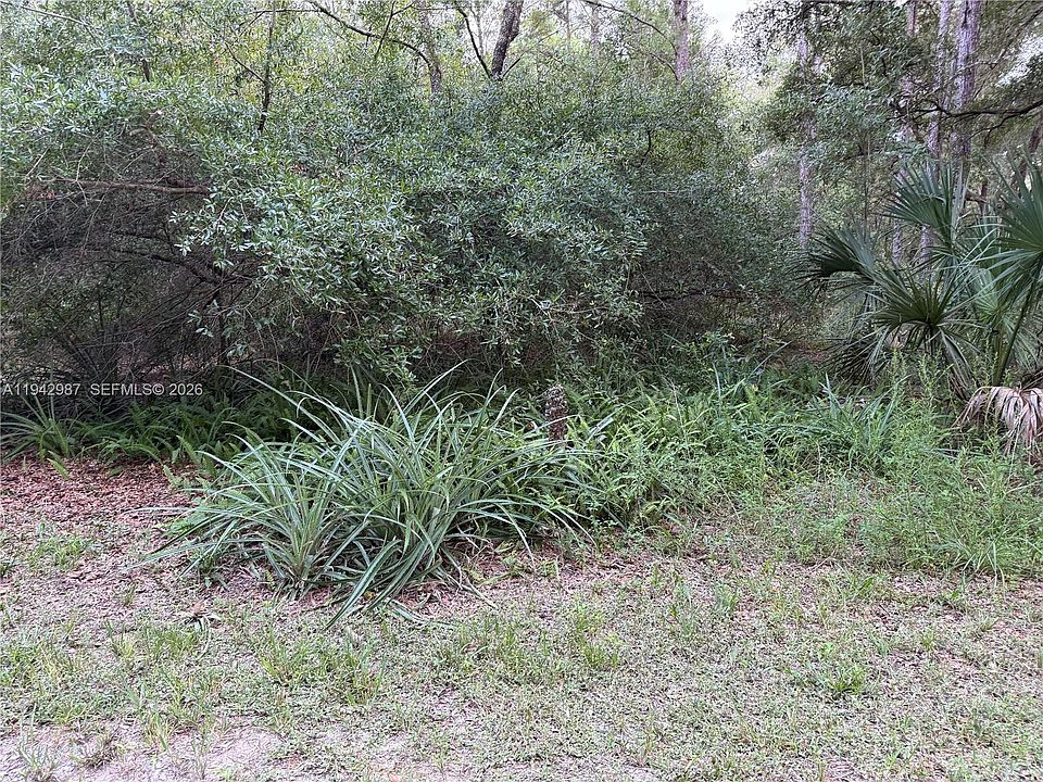 2nd image of 0 Saint Benedict Dr