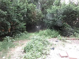 Rented by Rennit Inc.