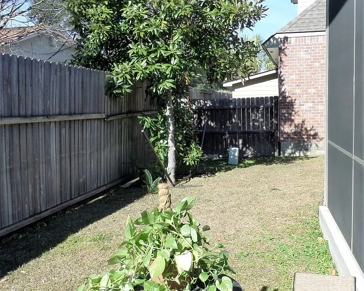 10854 Woodland Oaks Dr — Photo 16