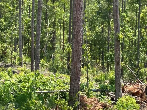 0 County Road 19, Heflin, AL 36264