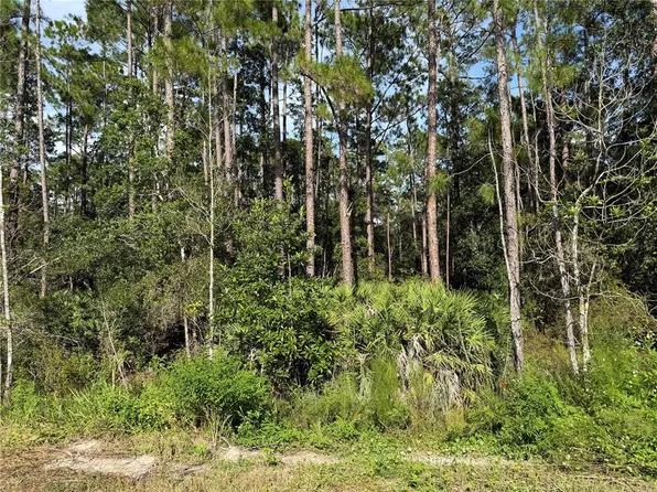 10TH AVENUE LOT 13, DELAND, FL 32724