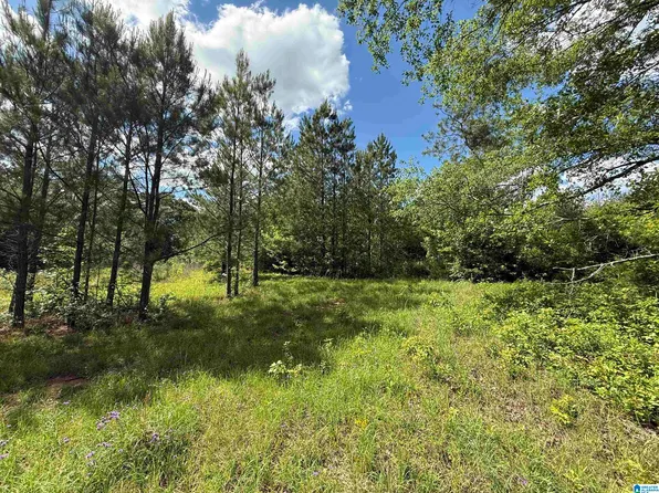 12345 County Road 24, Verbena, AL 36091