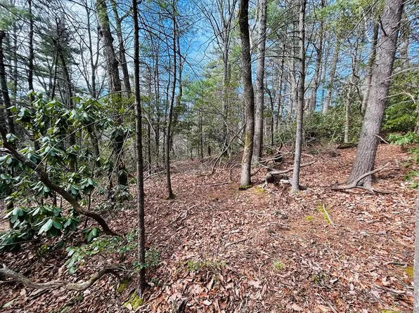 Tbd Chalet Dr, Fancy Gap, VA 24328