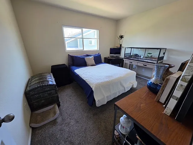 230 Carina Cir #104 — Photo 5