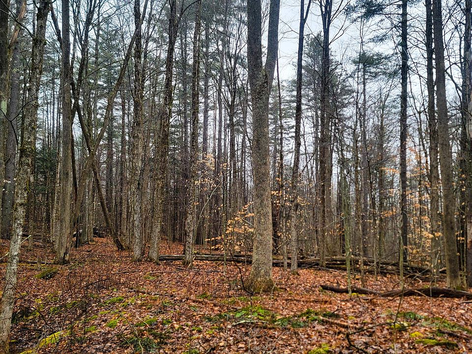 1355 Carey Road, West Halifax, VT 05358 Zillow