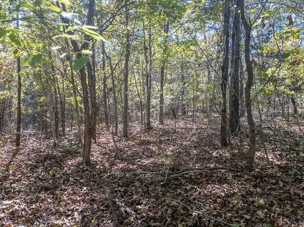 000 Cheetowaga Circle, Cherokee Village, AR 72529