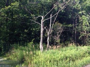 Center Rd, Hinckley, OH 44233