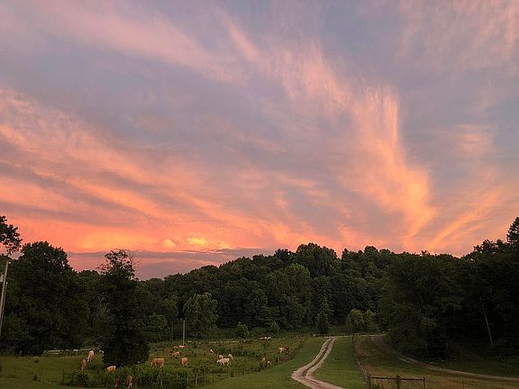 View out of front door