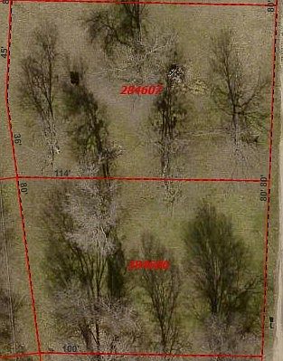 2nd image of 301 Wildwind Dr
