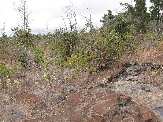 4th image of Hukilau Dr Lot 34