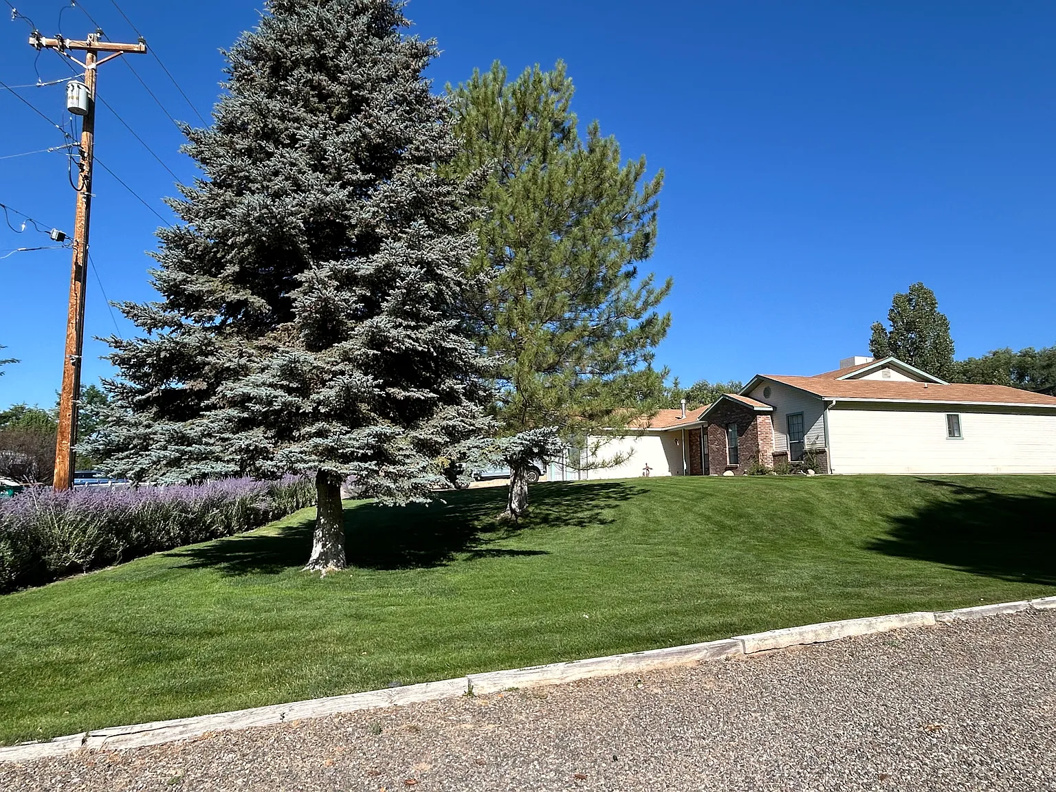 3 bed, 1906 sqft, $2,500 — Photo 3