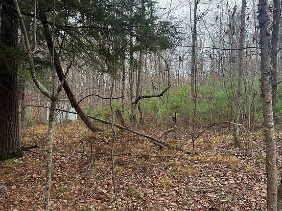 4th image of Roush Rd