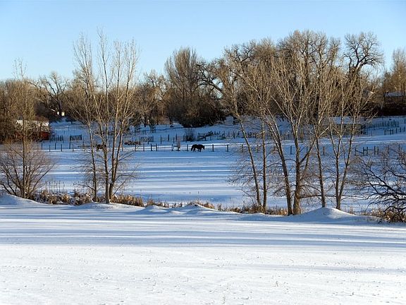 View from back yard