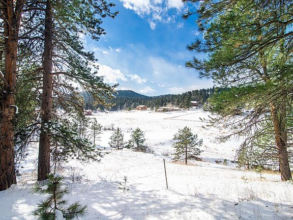 Serene Meadow Views