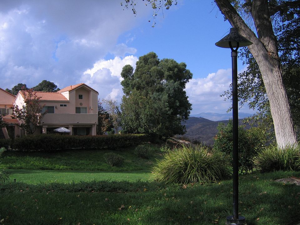 Greenbelt/Mature Trees with Views