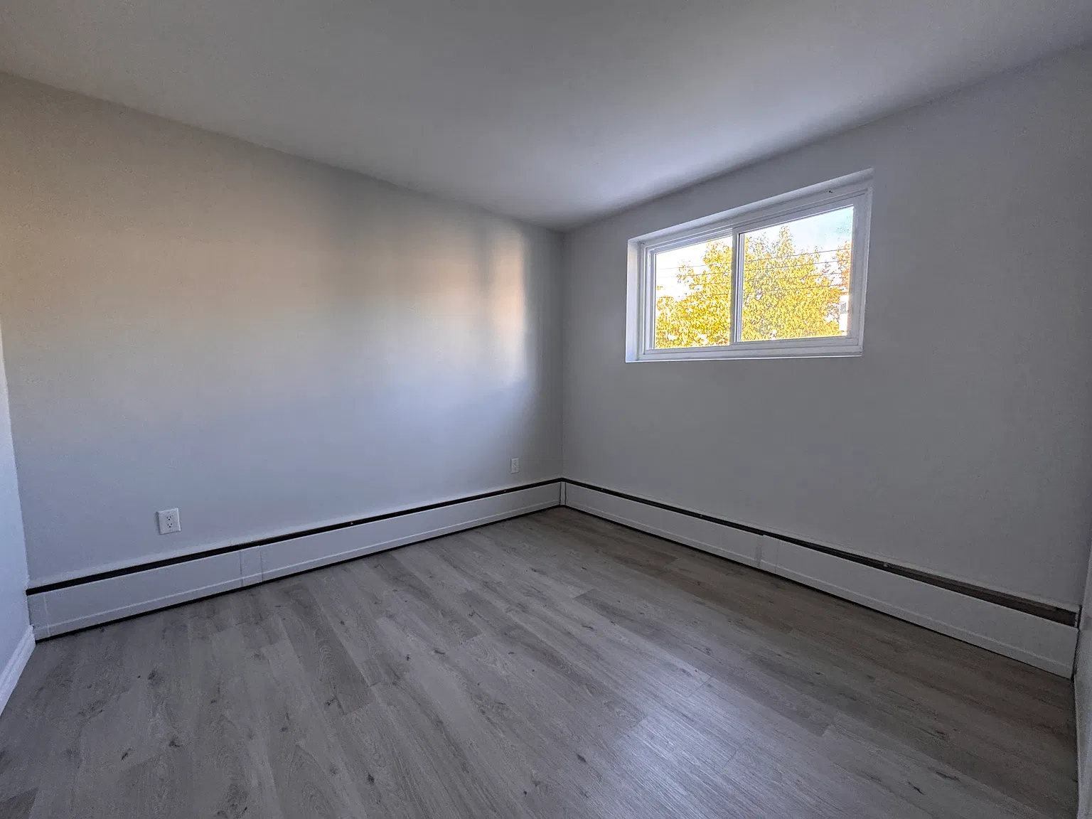 521 Park Street Kitchener — Photo 4