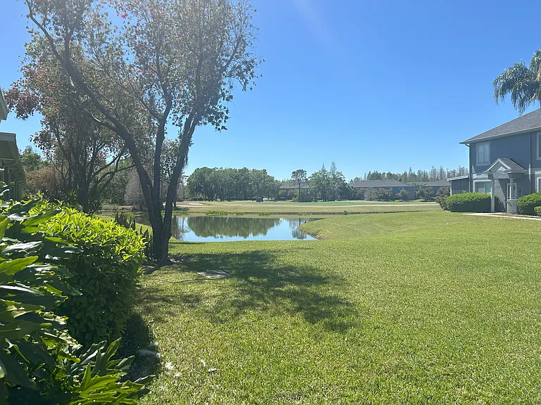 Backyard View
