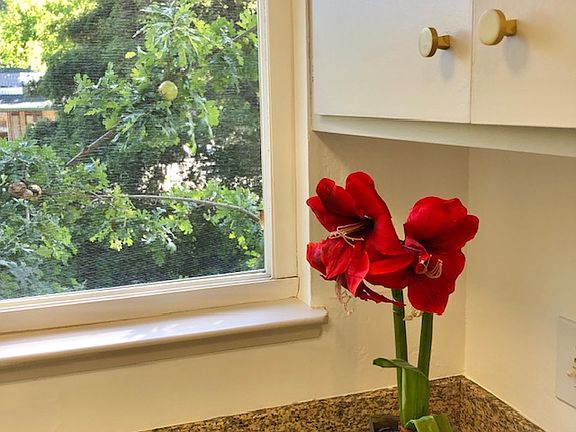 4th image of 1135 Sir Francis Drake Blvd #3