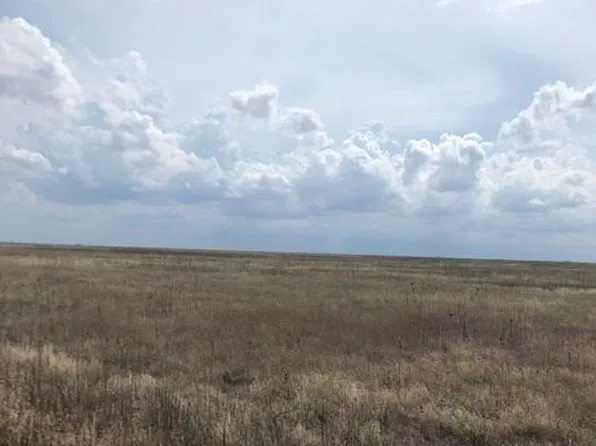 1200 Westline Rd, Wildorado, TX 79098