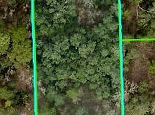 0 Mississippi Kite Ave, Brooksville, FL 34614