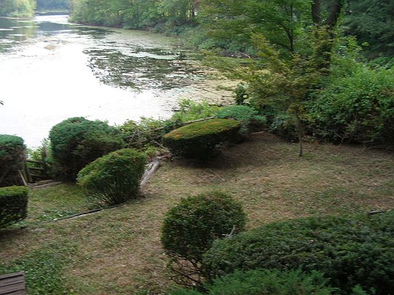 Back terraced Garden abutting Winter Pond with Swans and Ducks