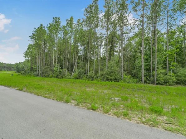 11991 High Branch Way, Willis, TX 77378