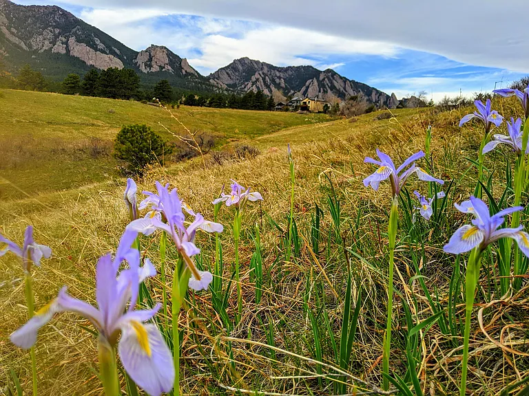 Greenbriar Connector Trail