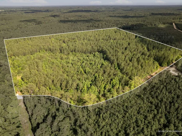 Jenkins Rd, Neely, MS 39461