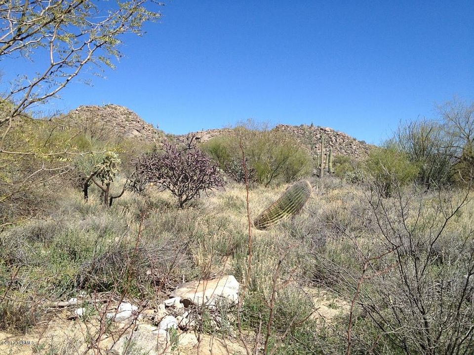 1st image of 14462 N Giant Saguaro Pl