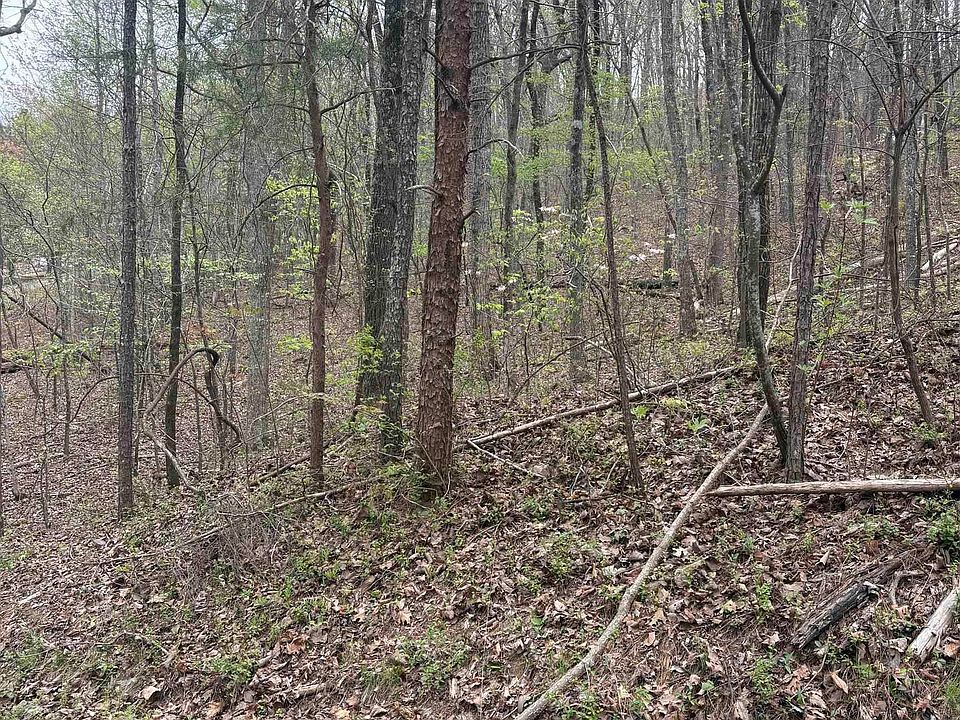 2nd image of 4 Greenbriar Rd
