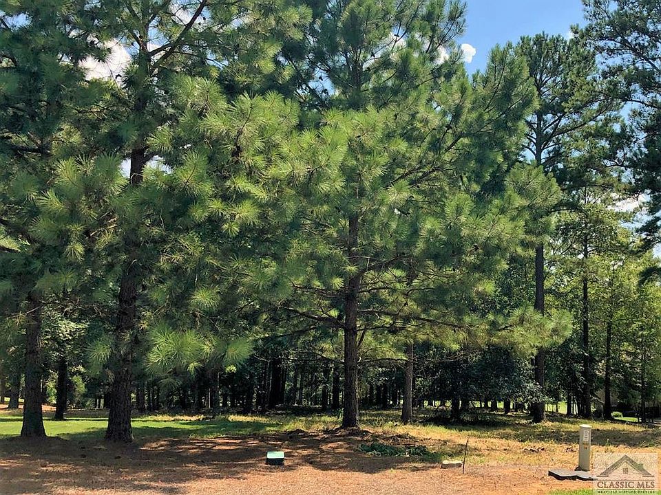 1st image of 1141 Bachelors Run