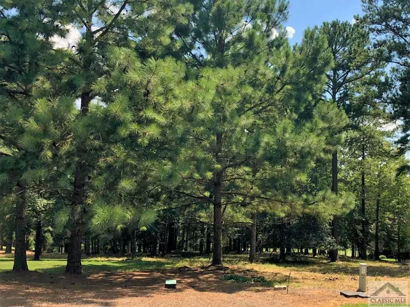 1141 Bachelors Run, Greensboro, GA 30642