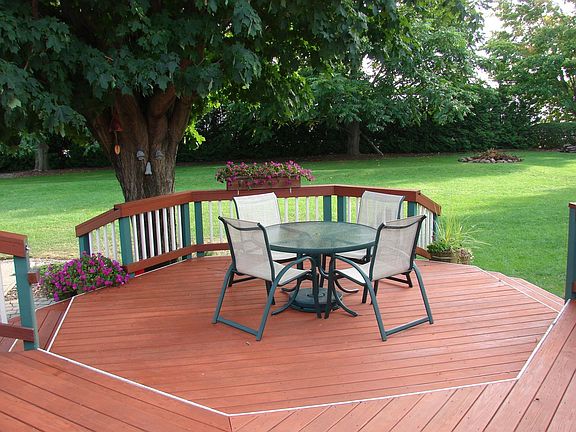 View of Backyard