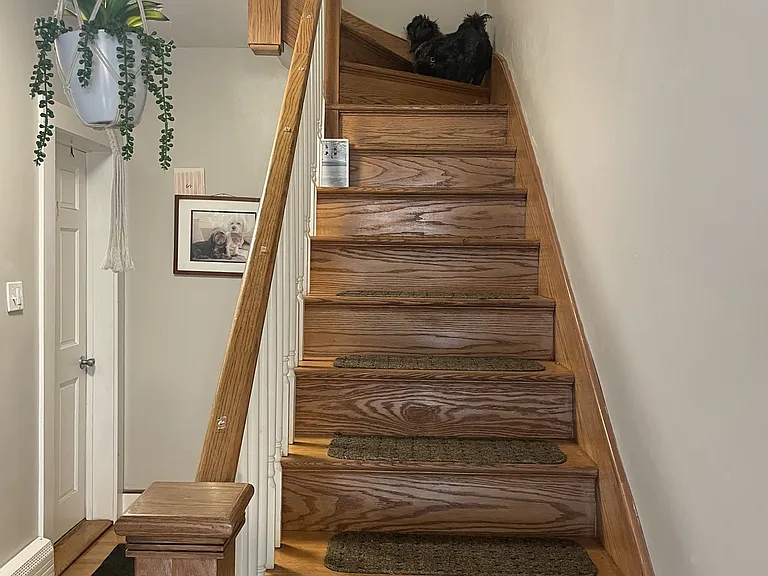 42 Jeffries St #1 — Photo 8