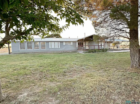 126 No Name Rd, Dexter, NM 88230