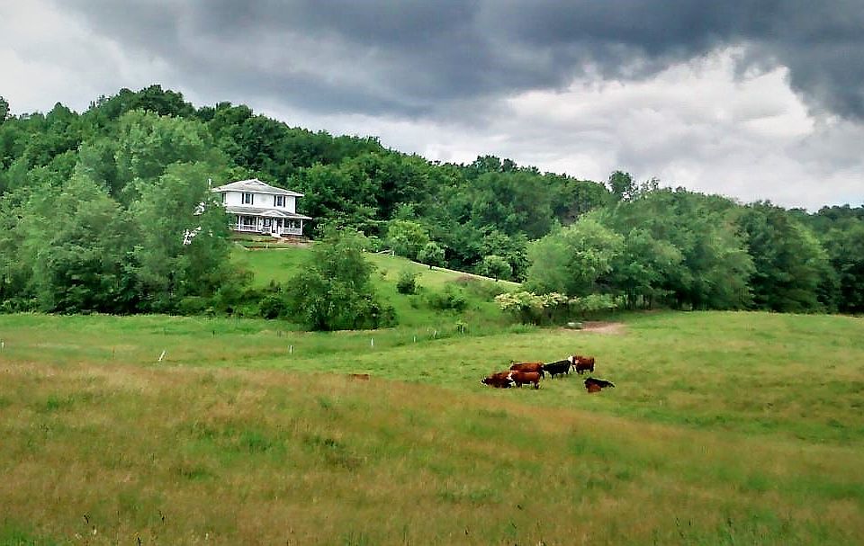 Excellent pasture land